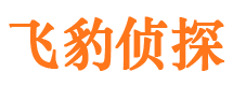 阜宁市侦探调查公司